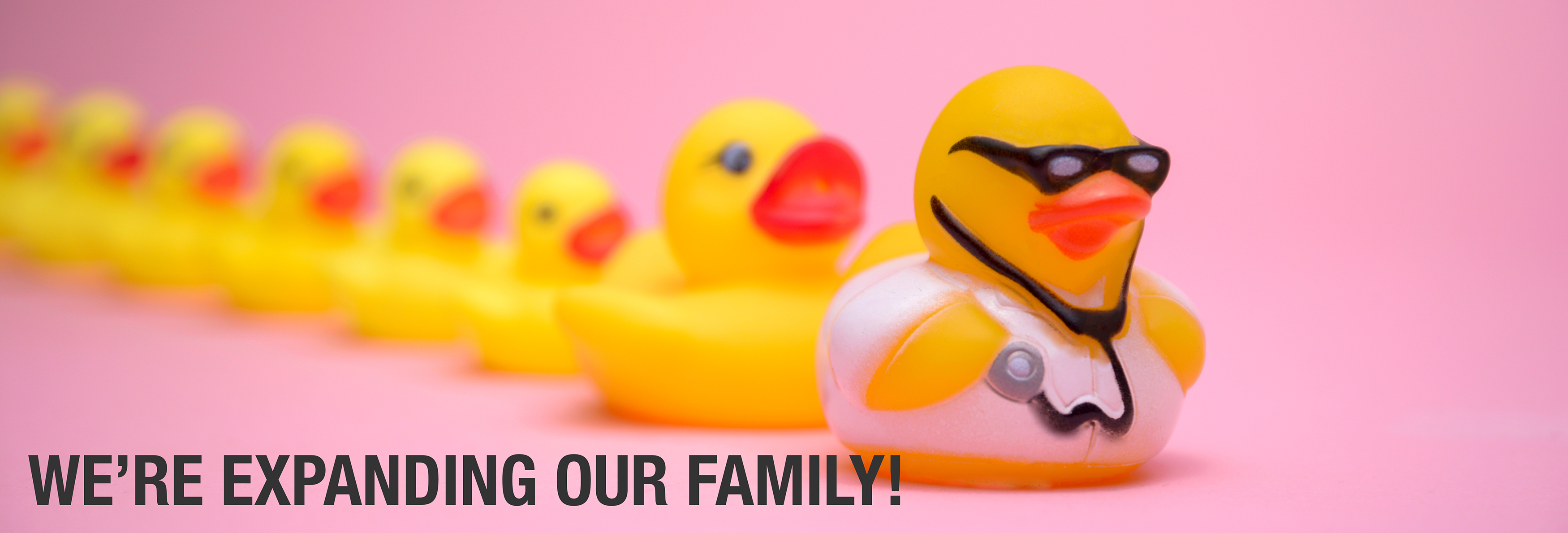 Photo of Doctor Ducks representing our growing family