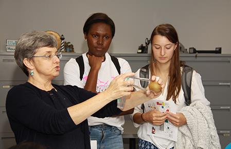 Faculty demonstrate procedures during hands-on workshop.